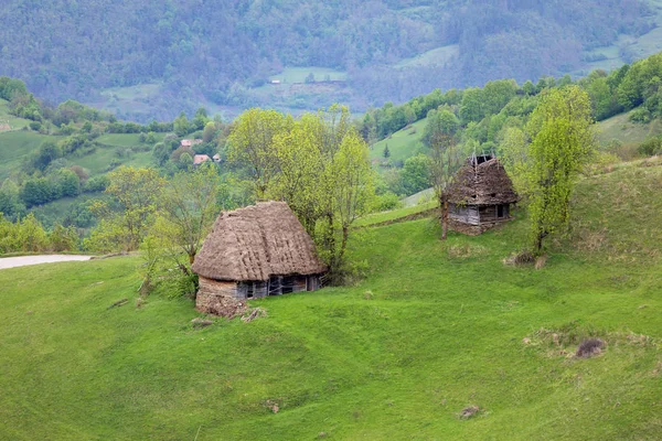 Romanya 'nın Apuseni kentinde güzel bir manzara