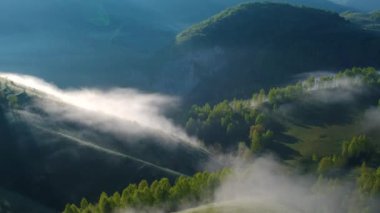 Transilvanya yeşil orman üzerinde havadan görünümü