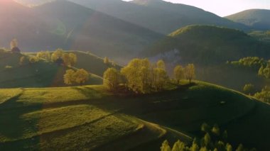 Bahar yeşil ormanda Transylvania'da, üzerinde havadan görünümü