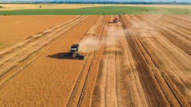 Romen tarlalarında, hasat makinesi kombine yaz görünümü. Hasat cihazları havadan görünümü