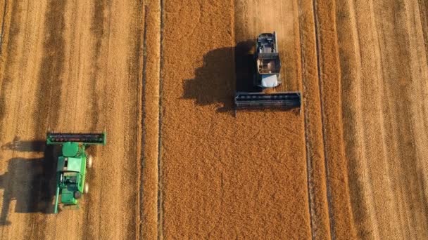 Vue estivale de la moissonneuse batteuse, dans les champs roumains. Vue aérienne des pêcheurs 