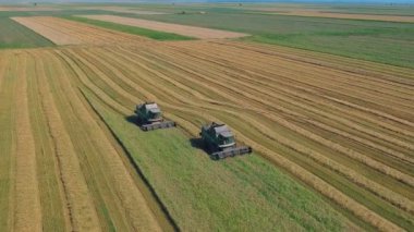 Romen tarlalarında, hasat makinesi kombine yaz görünümü. Hasat cihazları havadan görünümü