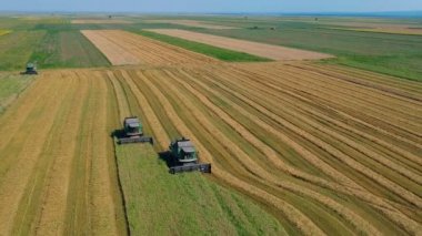 Romen tarlalarında, hasat makinesi kombine yaz görünümü. Hasat cihazları havadan görünümü