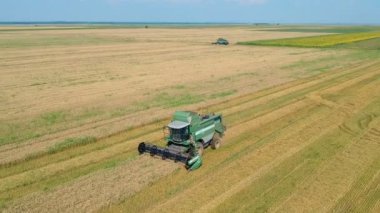 Romen tarlalarında, hasat makinesi kombine yaz görünümü. Hasat cihazları havadan görünümü