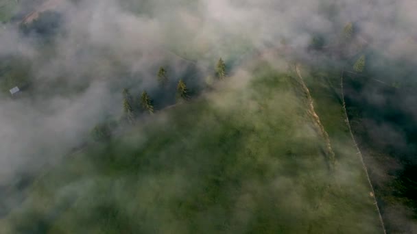 Bucovina Romanya Sisli Havadan Görünüm — Stok video