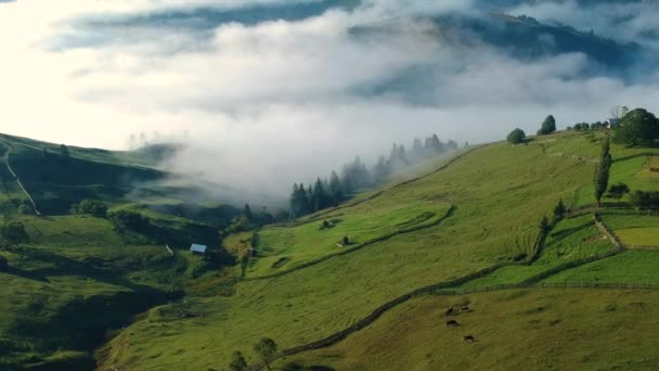 Bucovina Romanya Sisli Havadan Görünüm — Stok video