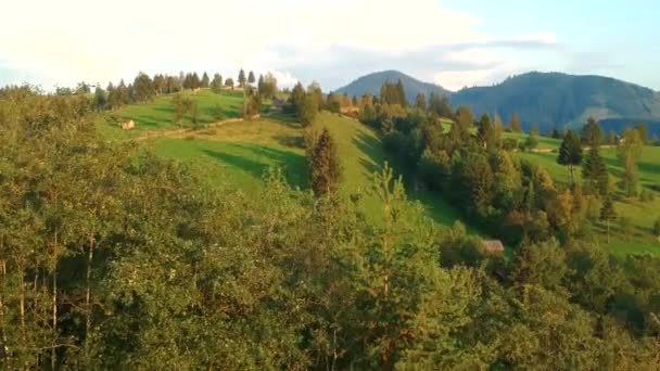 Letecký Pohled Nad Vesnicí Sadova Bucovina — Stock video