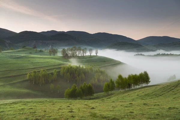 Luftaufnahme Einer Berglandschaft Mit Morgennebel Waldrand Rumänien — Stockfoto