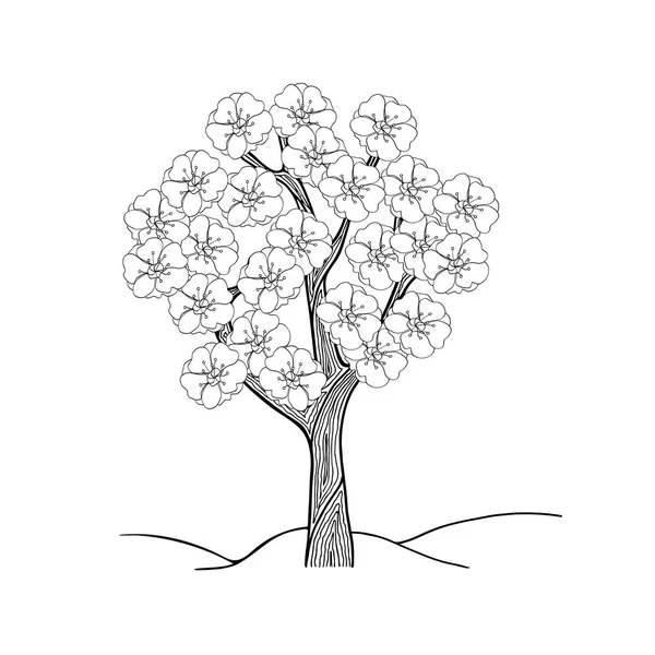 Mão Que Desenha Árvore Flor Doodle Ameixa Pêssego Cereja Estilização —  Vetores de Stock
