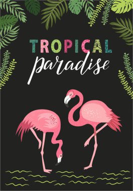 Farklı pozlarda pembe flamingolar. Egzotik kuşların, tropik bitkilerin, çiçeklerin ve yaprakların olduğu bir arka plan. harf