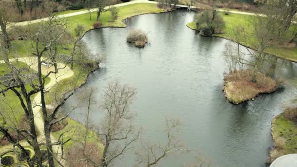 花园项目在沐浴池塘 宁静的绿洲在房子的花园 城堡观赏池塘 游泳池塘与植物 游泳区域 自然花园公园在春天 水植物 — 图库视频影像