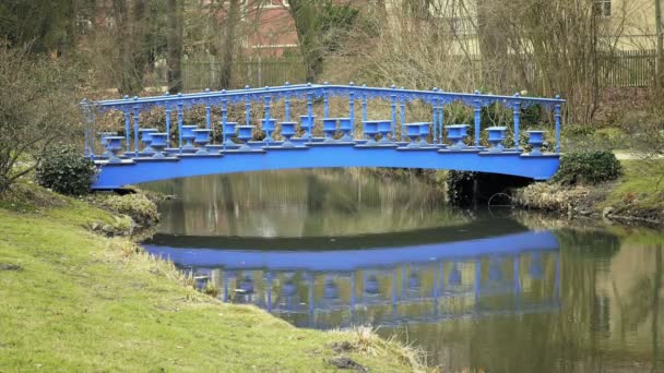 Mavi Metalik Art Nouveau Bridge Ile Akış Gölet Banyo Bahçe — Stok video