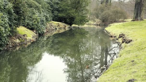 Projet Jardin Étang Baignade Oasis Calme Dans Jardin Maison Castle — Video