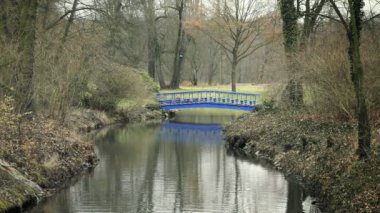 Mavi metalik Art Nouveau bridge ile akış. Gölet banyo, Bahçe Projesi. Evin bahçesinde sakin vaha. Kale süs patates rendesi. Brook bitkilerle, dere. Bahar bahçe doğal park