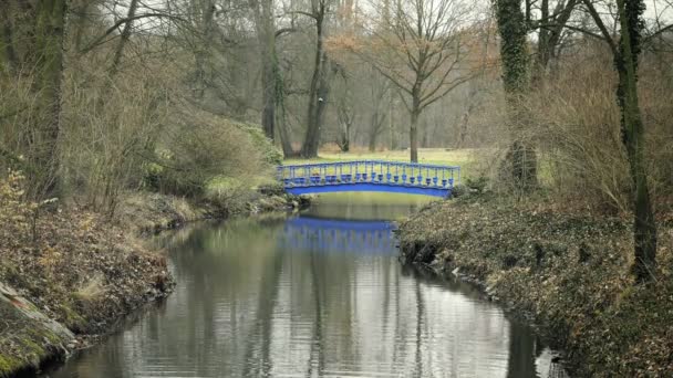 Corriente Con Azul Metálico Art Nouveau Puente Proyecto Jardín Estanque — Vídeos de Stock