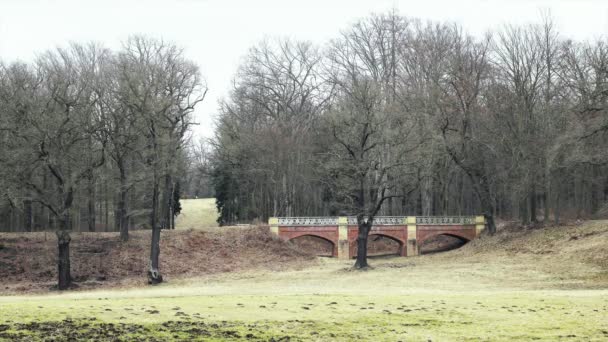 Ponte Tijolo Vermelho Art Nouveau Projeto Jardim Arquitetura Parque Chateau — Vídeo de Stock