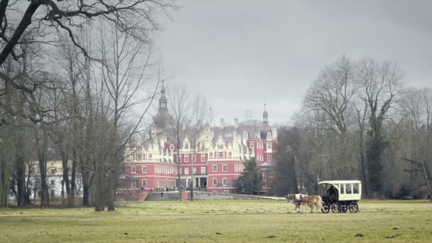 Driving Carriage Two Horses Tourist Carriage Chariot Running Chateau Park — Stock Video