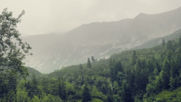 Montanhas Chuva Neblina Gotas Gotejamento Molhado Frio Atmosfera Montanha Montes — Vídeo de Stock