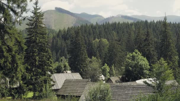 山谷中世纪的木制村庄 度假时风景如画的夏日风光 大师射击 — 图库视频影像