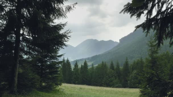 雨の日の記念碑的なスロバキア キャニオン 距離での霧の山のピーク 牧草地と山の斜面 ハイキング 休暇先を Excursional 撮影日 — ストック動画