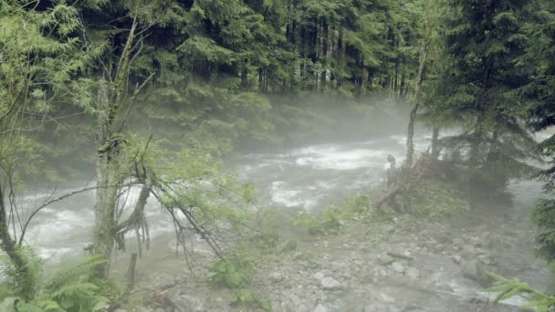 Ruscello Montagna Con Rapide Misty Misterioso Ruscello Piccolo Fiume Nebbioso — Video Stock