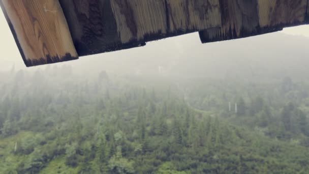 山在雨和雾中 掉落滴水 潮湿寒冷的山区气氛 雾中的树木繁茂的山 天空中的纪念碑云 前景是大树 度假的游览目的地 日拍摄 — 图库视频影像