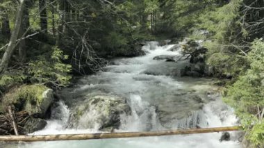 Dağ dere rapids ile. Puslu gizemli brook. Küçük sisli nehir orman ile pitoresk Vadisi üzerinden akan. Temiz su güzel, sürünen Creek. Statik gün atış stabilize
