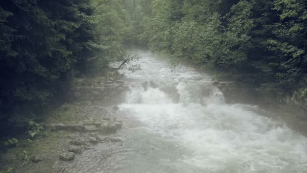 Corrente Montanha Com Corredeiras Misty Misterioso Riacho Pequeno Rio Nebuloso — Vídeo de Stock
