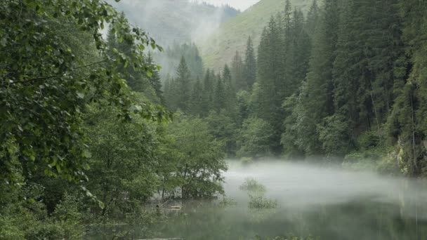 Górskie Jezioro Mgliste Spokojne Atmosfera Miejsce Alpejskie Wędrówki Spacery Pływanie — Wideo stockowe