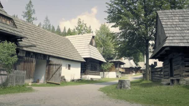 Medieval wooden village in mountain valley, roofs. Picturesque summer scenery on vacation. Master shot — Stock Footage Medieval Wooden Village Mountain Valley Roofs Picturesque Summer Scenery Vacation Stock Video
