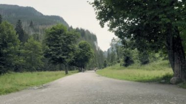Yol, hiking ile anıtsal Slovakya Kanyon patika. Siste mesafe Dağları doruklarına. Orman, dağlar, çayır ve otlaklar dağ Vadisi. Hiking, tatil için excursional hedef. Gün vurdu