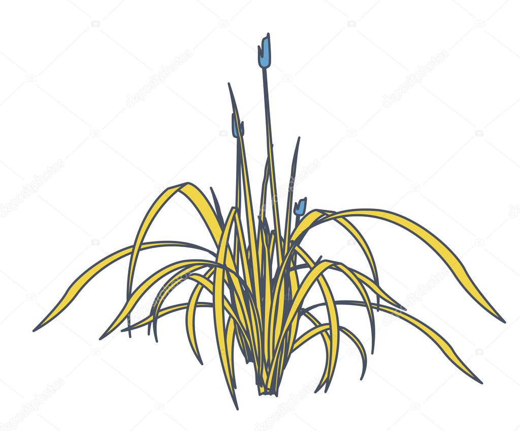 Outlined reed and water plants in mobile phone. Yellow isometric clump of reed growing in pool, lake or pond. Isolated individual flower bamboo reed. Vector illustration