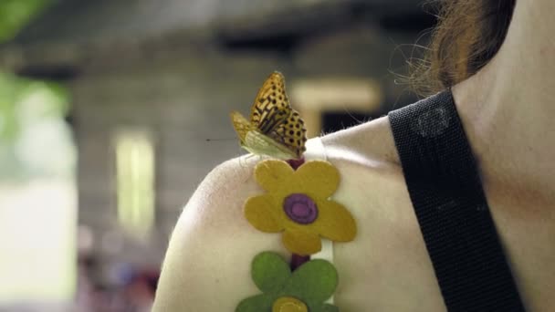 Πεταλούδα Κάθεται Στον Ώμο Της Γυναίκας Και Κουνώντας Φτερά Της — Αρχείο Βίντεο