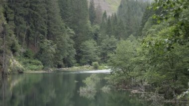 Dağ Gölü, sisli huzurlu bir atmosfer. Alpler 'de yürüyüş, yürüyüş, yüzme, spor ve dinlence aktiviteleri için yer. Su seviyesini akma. Gün stabilize v-günlük çekim