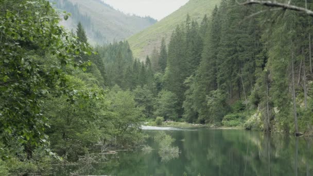 Dağ Gölü Sisli Huzurlu Bir Atmosfer Alpler Yürüyüş Yürüyüş Yüzme — Stok video