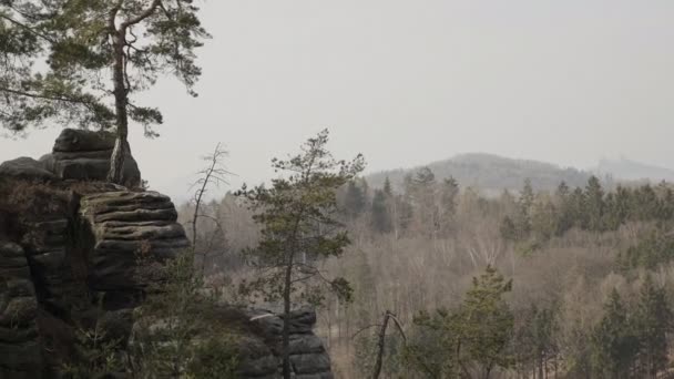 砂岩の岩 岩のエリア 森の中 登山風景 大きな石 屋外の旅行先 静的日安定化 ログショット 全体的なビュー — ストック動画