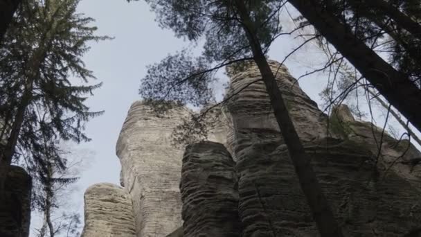 Rocas Areniscas Macizos Rocosos Bosque Paisaje Escalada Piedras Grandes Destino — Vídeo de stock