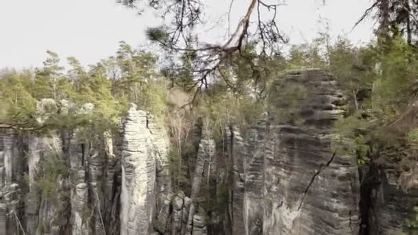 Homokkő Sziklák Szikla Hegytömb Erdőben Hegymászás Táj Nagy Kövek Kültéri — Stock videók