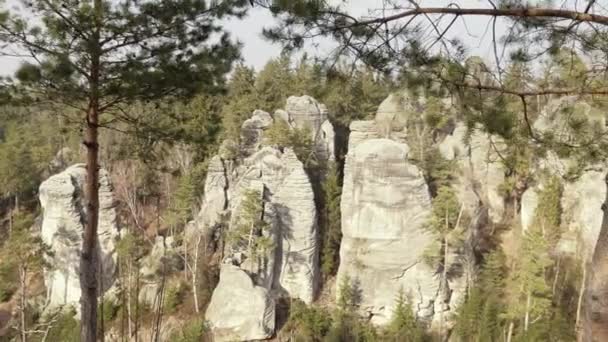 Skały Piaskowca Rock Masfs Lesie Wspinaczka Krajobraz Wielkie Kamienie Cel — Wideo stockowe