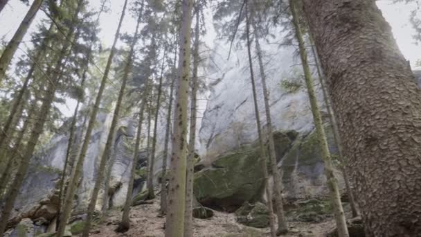 Rocas Areniscas Macizos Rocosos Bosque Paisaje Escalada Piedras Grandes Destino — Vídeo de stock