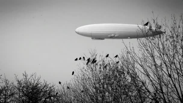 Siyah Kuzgun Sürüsü Ile Zeppelin Zeplin Gökyüzünde Efsanevi Uçan Zeplin — Stok video