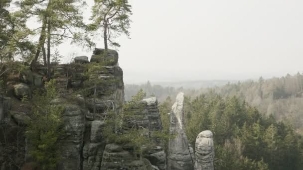 Rocas Areniscas Macizos Rocosos Bosque Paisaje Escalada Piedras Grandes Destino — Vídeo de stock