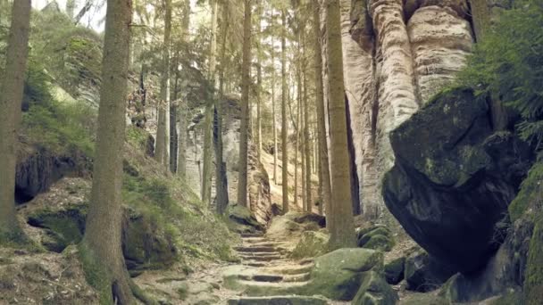 砂岩の岩 森の岩塊 登山風景 大きな石 アウトドア旅行先 デイショット 全体のビュー — ストック動画