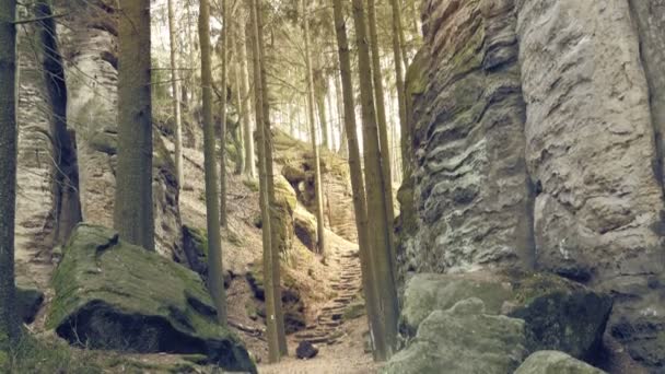 Rocas Areniscas Macizos Rocosos Bosque Paisaje Escalada Piedras Grandes Destino — Vídeo de stock