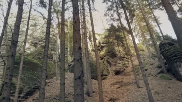 砂岩の岩 森の岩塊 登山風景 大きな石 アウトドア旅行先 デイショット 全体のビュー — ストック動画