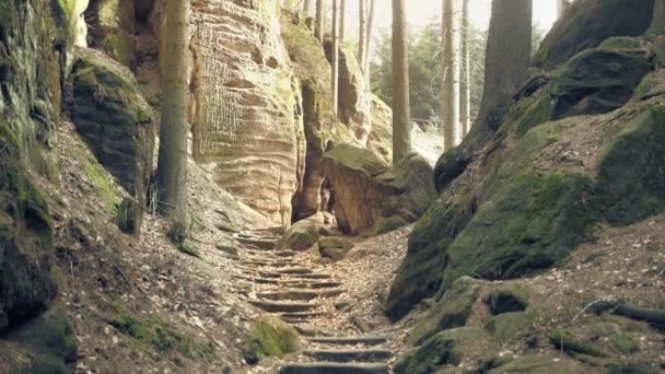 森林中的岩石 攀岩景观 大石头 户外旅游目的地 日拍摄 整体视图 — 图库视频影像