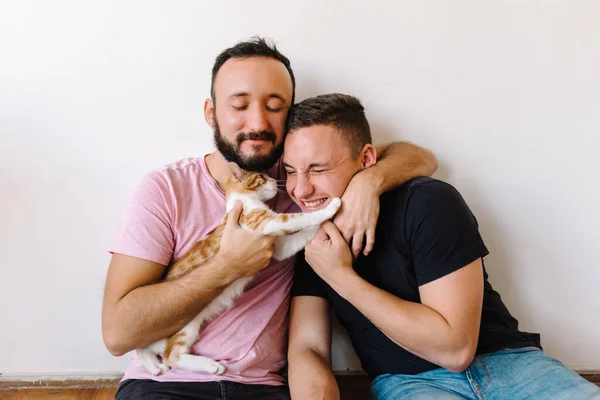 동성애자 남성의 사진앉아서 그들의 주황색 테이블 고양이와 있습니다 — 스톡 사진
