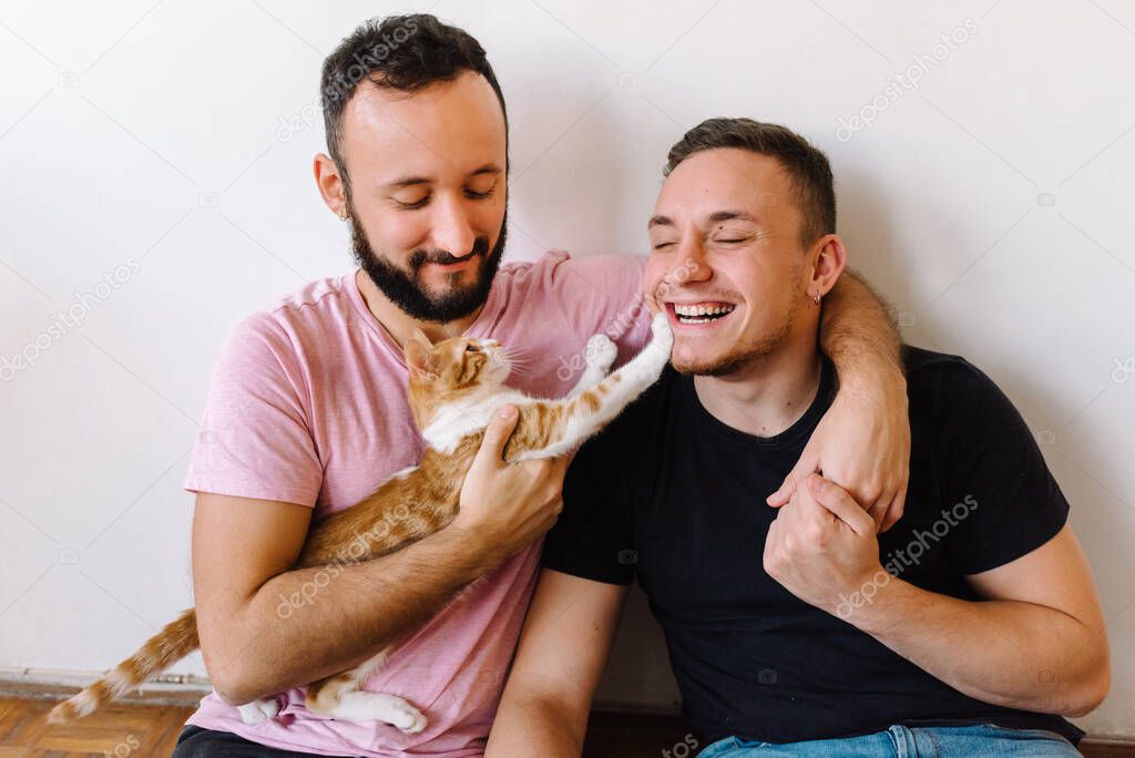 Stock photo of two caucasian homosexual men sitting down and playing with their orange and white tabby cat.