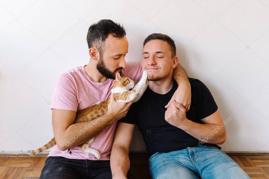 Stock photo of two caucasian homosexual men sitting down and playing with their orange and white tabby cat.