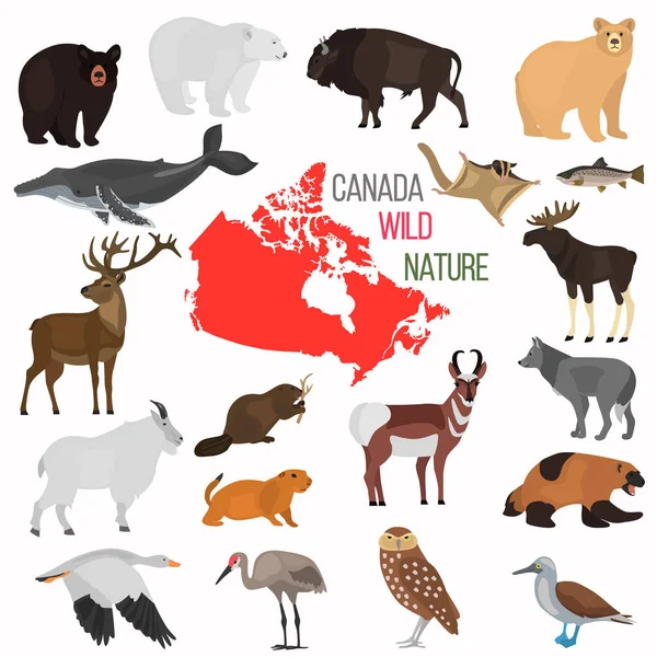 Wild Animals Canada Color Flat Icons Set — Stock Vector